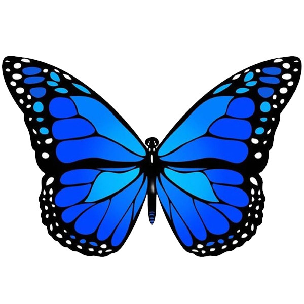 استیکر پارچه و لباس پاد آفرین طرح پروانه کد 4436