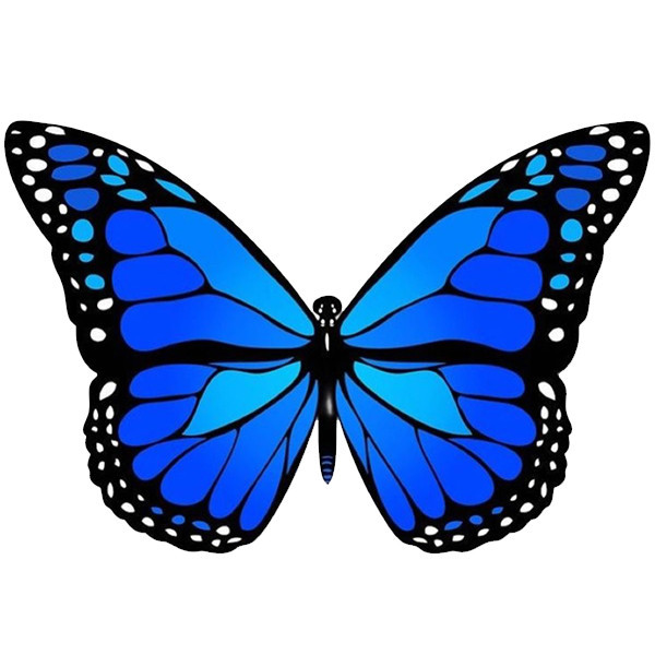 استیکر پارچه و لباس پاد آفرین طرح پروانه کد 4436
