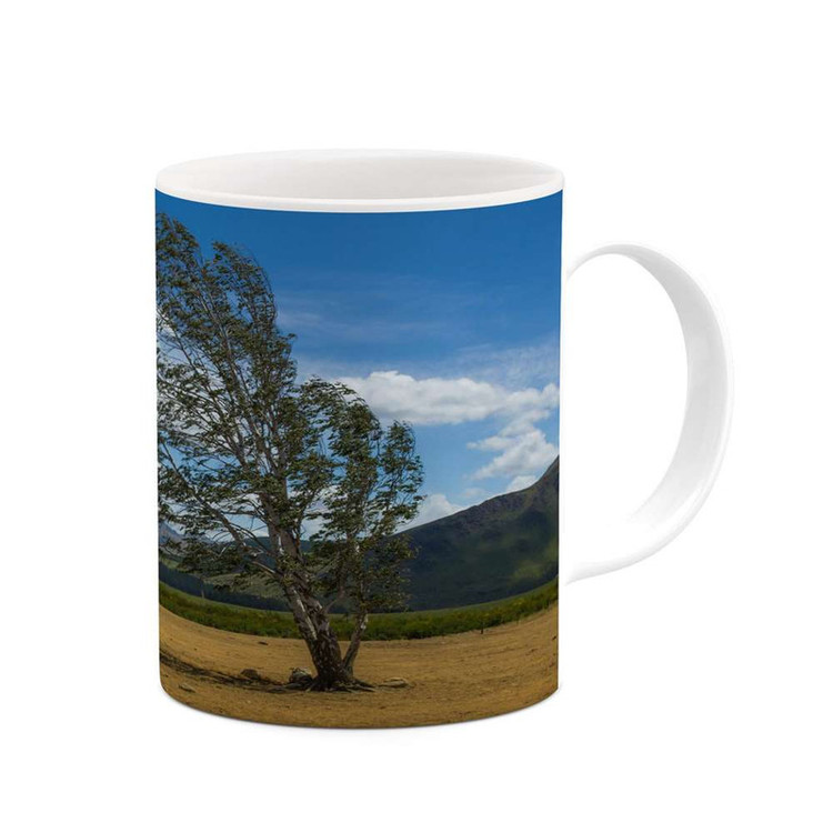ماگ کاکتی مدل منظره کد mgh15239