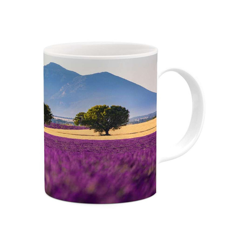 ماگ کاکتی مدل منظره کد mgh14673