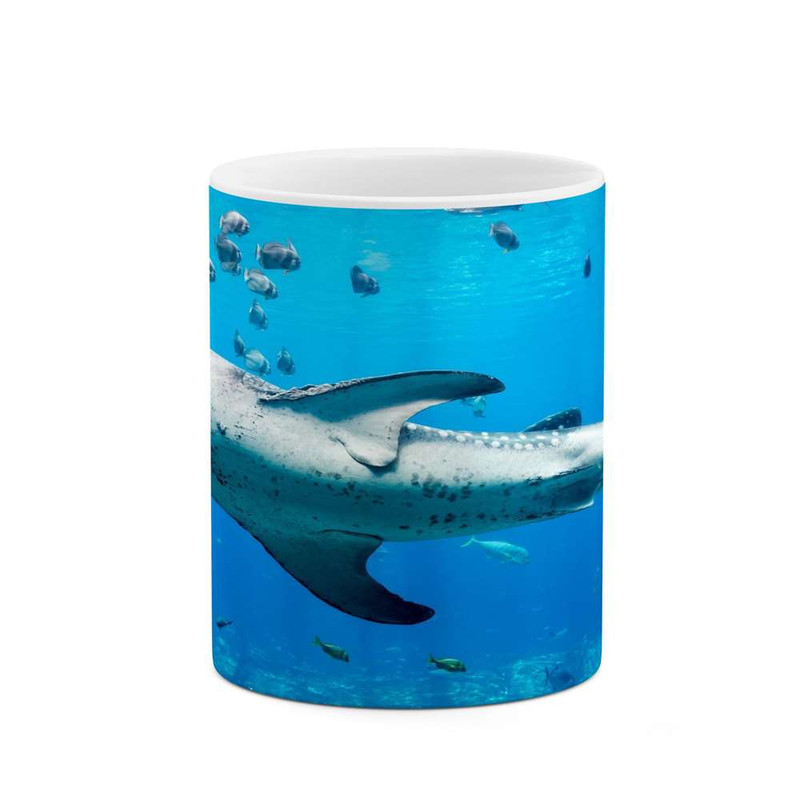 ماگ کاکتی مدل نهنگ کد mgh14808